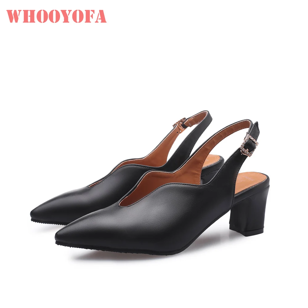 Brand New Elegant Black Aprico - Women'S Shoes Back To School review and price